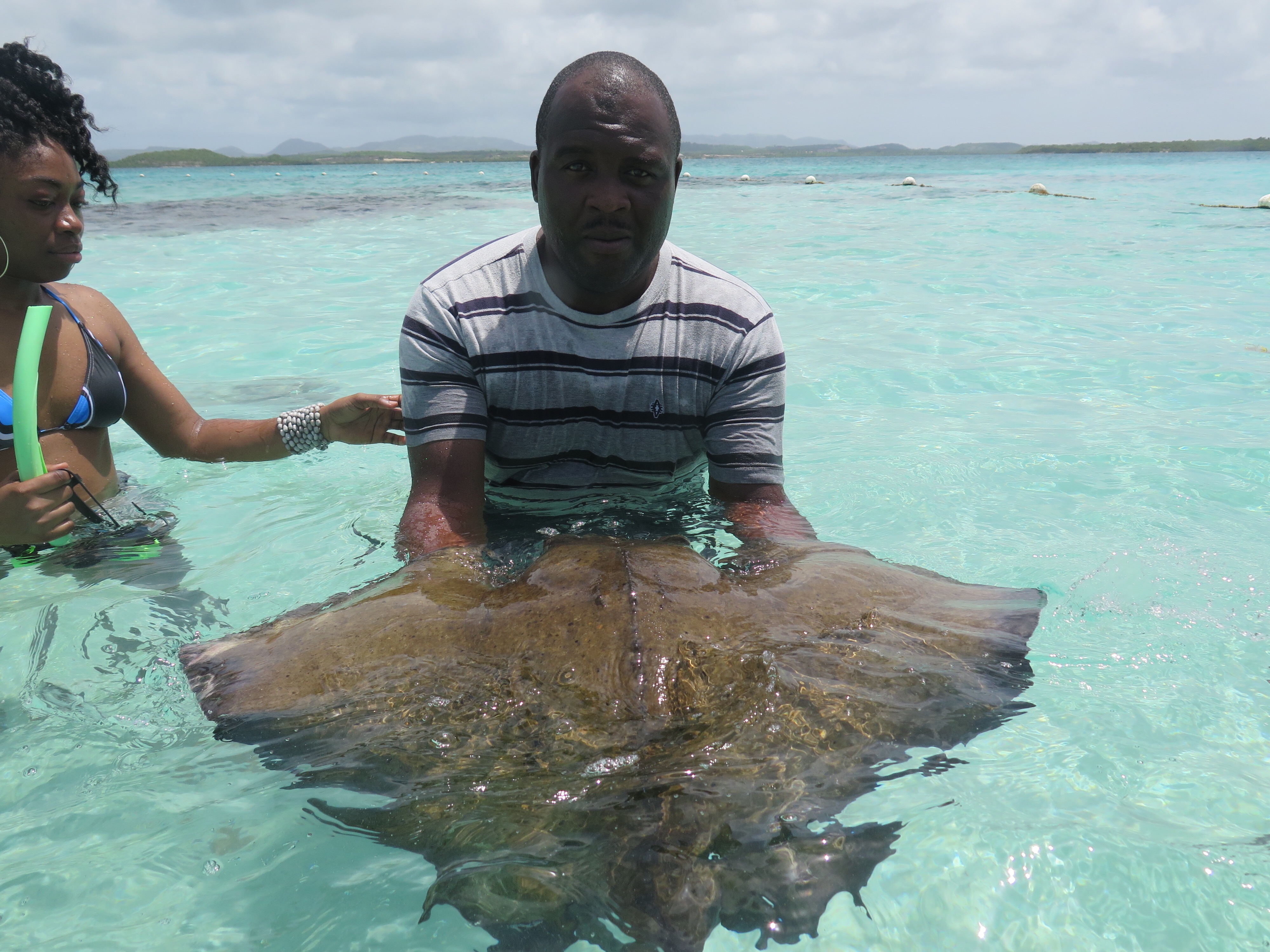 Stingray City Antigua